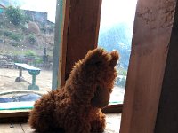 Not part of our crew