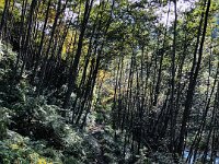 At one point we came close to the river