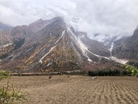 Tamed and untamed nature