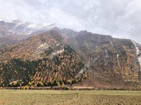 Field, forest and mountain
