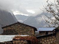 Satellite dish, solar power and heating with dung