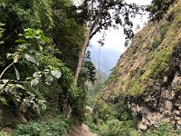 A bit jungle-like again down here