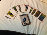 Birds of Nepal playing cards