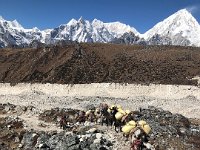 We didn't envy these pack horses headed up this steep trail