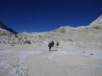 Across what must be a wetland in the summer