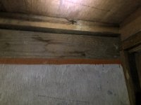 Inside our rooms in the lodge, we encountered some other wildlife