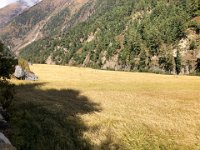 Apparently a communal field