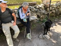 We stopped at this dog's place...