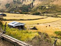 Bringing in the harvest