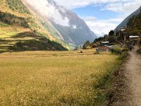 Ghap to Lho Gaon 5 November 2019