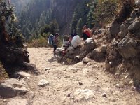 Our luggage takes a break