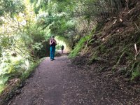 a very nice section of trail