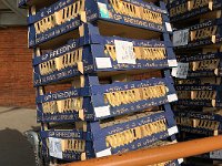 Outside, thousands of live chicks from Thailand