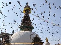 Dharmadhaatu Stupa - Thahiti Chowk