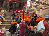 now 180 degrees from the scooter driver is a temple on whose steps millions of marigolds (sayapatri) await the next phase of their journey