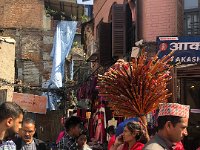 they appeared everywhere. Apparently the boy found them interesting also!