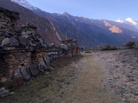 On the move in the morning