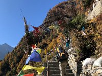 They're paving every step