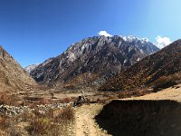 Into the upper valley