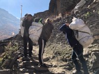 Our luggage is looking for the best place to wait for us