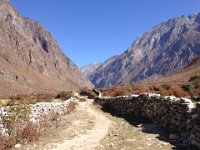 Stone walls along the route... are they keeping animals in or out?