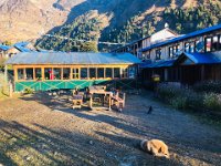 Sunlight is so nice!