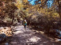 a slow grind up the slope through the forest