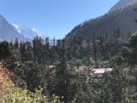 settlements in the woods