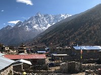 looking out the dining hall window
