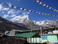 our neighbors up the "street"