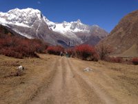 many tracks to the same place