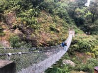 Tropical vegetation but cool nonetheless