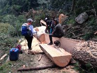 All done by hand with a chain saw and nothing else