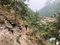 A head hazard along the trail