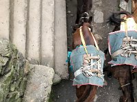 The trail passed nearly beneath the lodge, and the pack animals stop for a drink