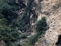 Pack train on the other side of the river