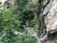 Jorses still coming down