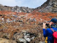 There are well-camouflaged sheep in there somewhere