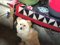 Little fellow in the dinning hall