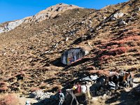 Mingma leads the way