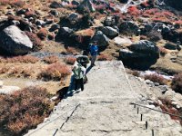 Warming up and shedding a layer