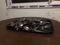 Vectors of infection?