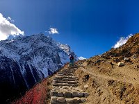 Samdo to Dharmasala 9 November 2019