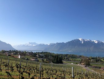 15 April Brent and Chailly