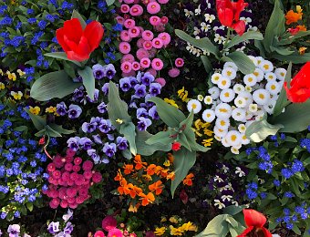 18 April Brent and Blonay