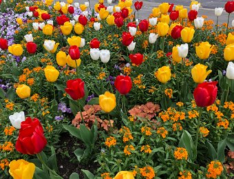 19 April Lake Edge in Clarens