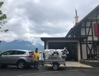 28 April Sentier des Narcisses in Glion