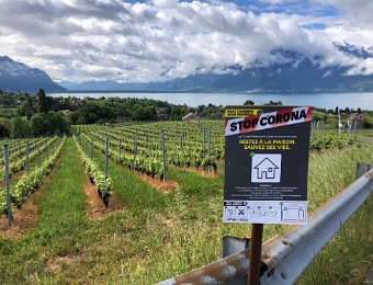 29 April Brent and Decheterie