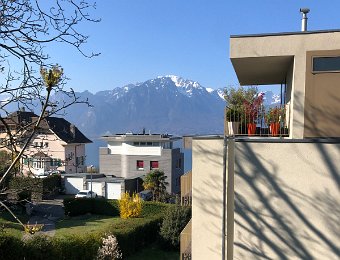 4 April Daffodils and Pallens