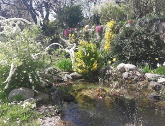 Happenings in Normandy